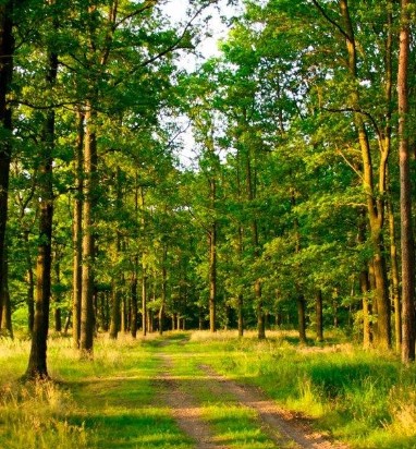 Переработка отходов с пользой для участка Переработка отходов с пользой для участка